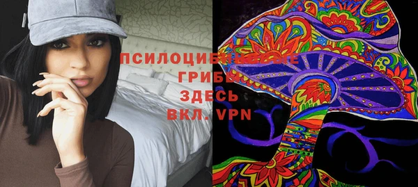 метамфетамин Козловка