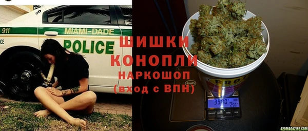 ГАЛЛЮЦИНОГЕННЫЕ ГРИБЫ Киреевск