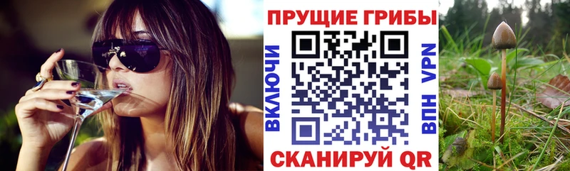 Псилоцибиновые грибы прущие грибы  Купить  Урус-Мартан 