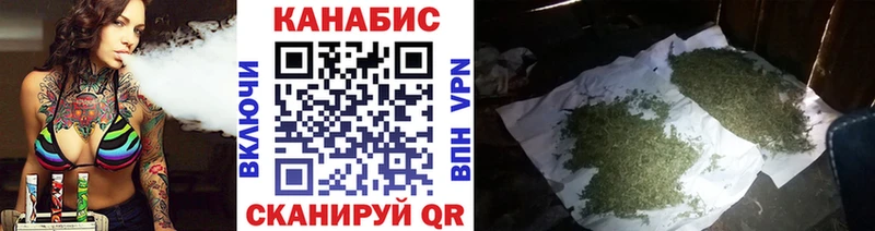 Марихуана сатива  Купить  Урус-Мартан 